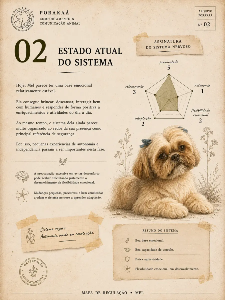 Estado atual