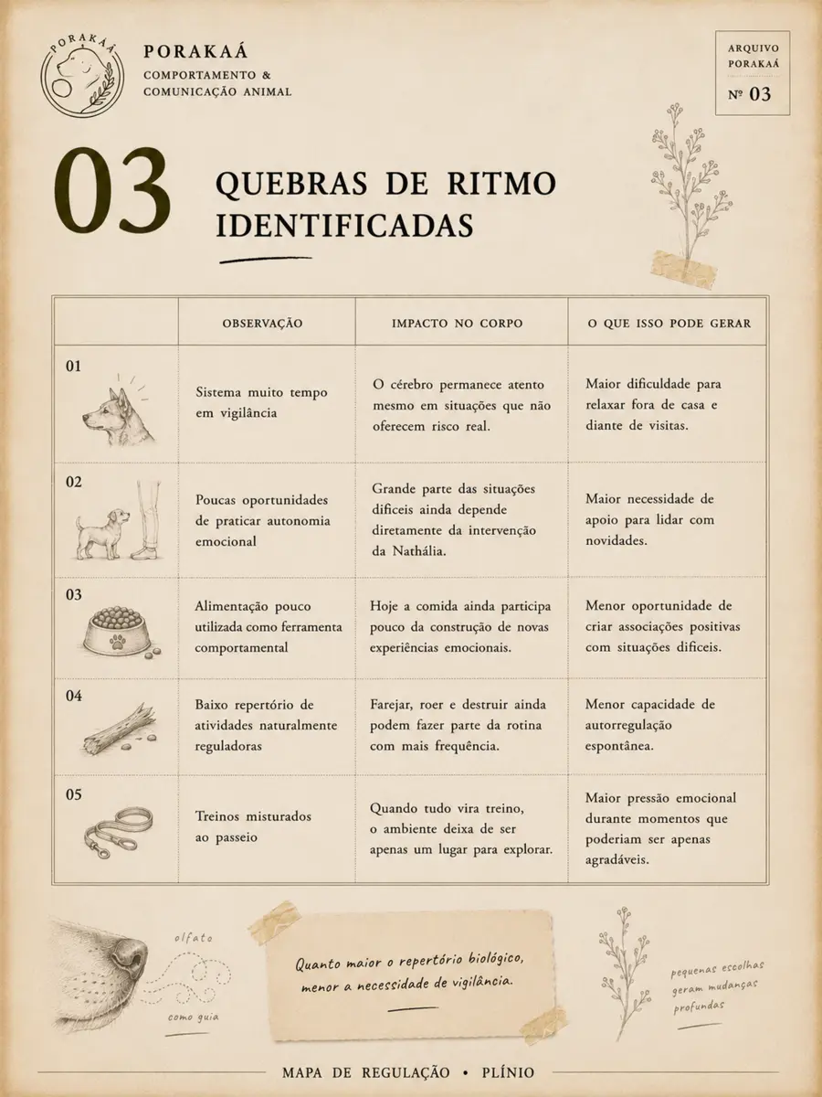 Quebras de ritmo
