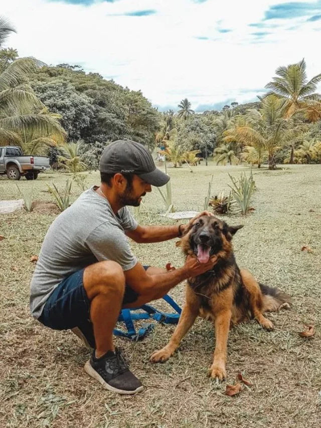 5 Maneiras assertivas de acalmar seu cachorro chorando | Porakaá