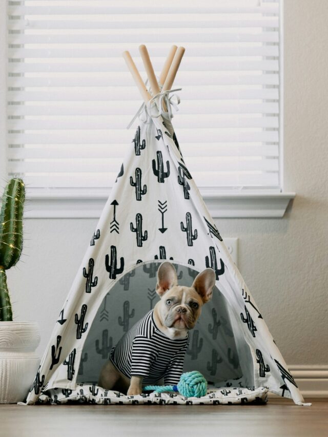 karsten-winegeart-XoOXuRDIBPg-unsplash