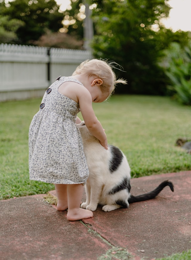 gatos e crianças | Porakaá